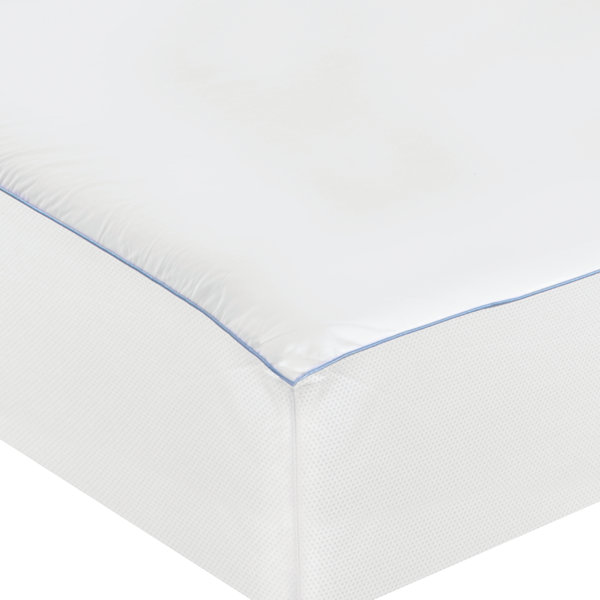 Sealy Cooling Comfort Hypoallergenic Mattress Cover & Reviews Wayfair